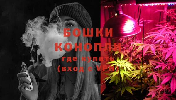 стафф Абаза