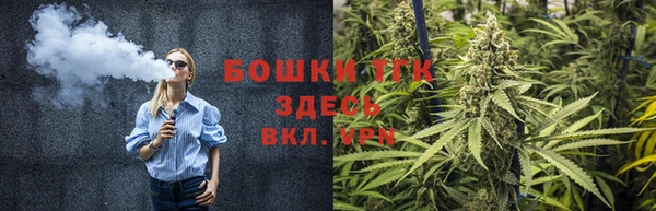 PSILOCYBIN Абдулино