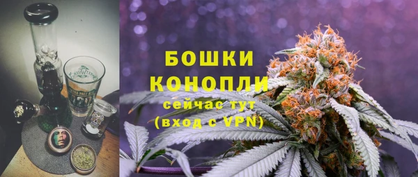PSILOCYBIN Абдулино