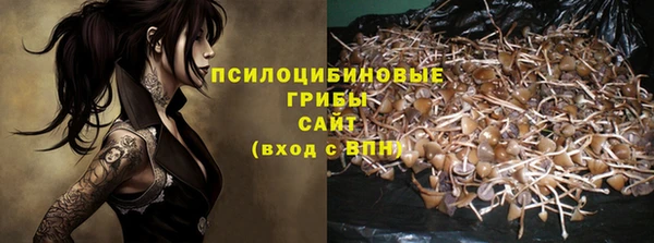 PSILOCYBIN Абдулино